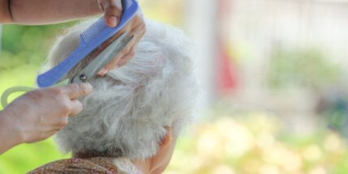 The,Grandmother,Is,Being,A,Haircut,In,Nature